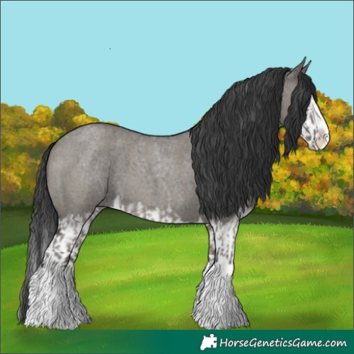 Horse Color:Grullo Roan Sabino Splash and Grullo Roan Sabino Splash