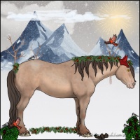Horse Color:Amber Champagne