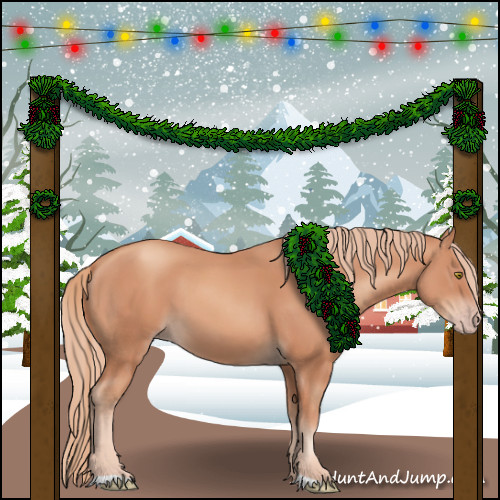 Horse Color:Gold Champagne 