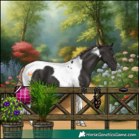 Horse Color:Liver Chestnut Tobiano 