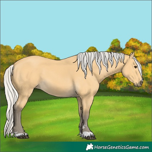 Horse Color:Silver Buckskin