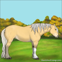 Horse Color:Unknown 