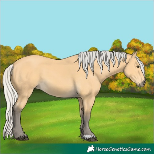 Horse Color:Silver Buckskin 