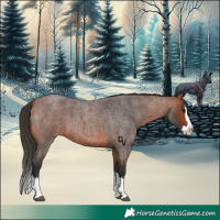 Horse Color:Bay Roan Splash 