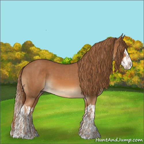 Horse Color:Chestnut  and Chestnut Splash 