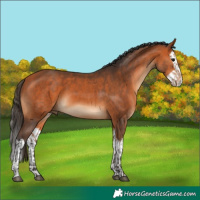 Horse Color:Bay  and Bay Splash 