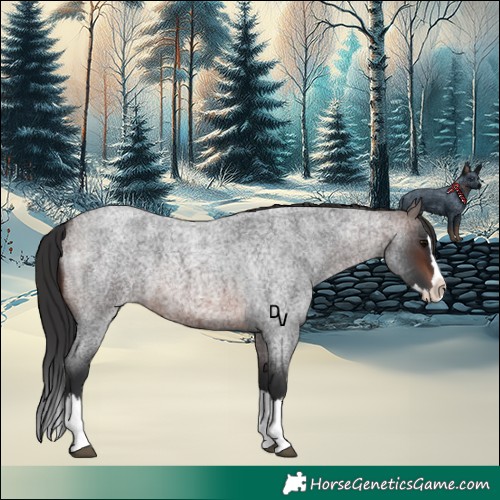 Horse Color:Brown Roan Splash 