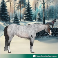 Horse Color:Brown Roan Splash 