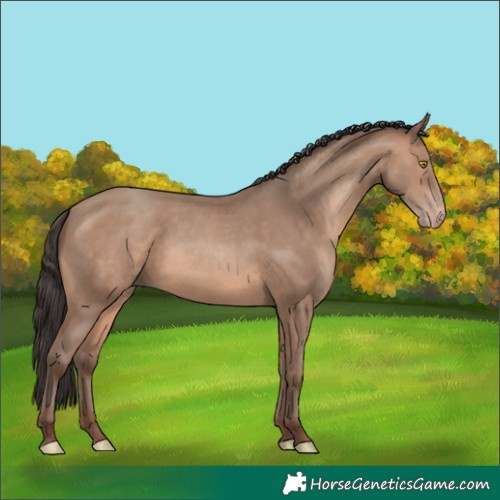 Horse Color:Sable Champagne