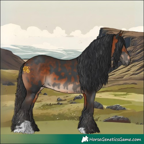 Horse Color:Black and Bay