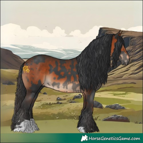 Horse Color:Black  and Bay 