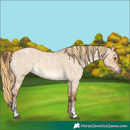 Horse Color:Bay Roan Dun  and Red Dun Roan 