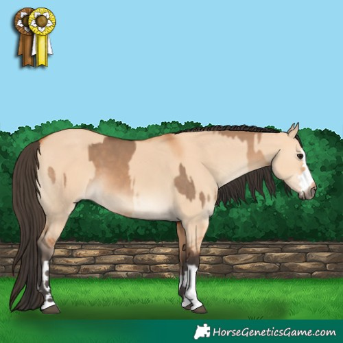 Horse Color:Bay Dun  and Bay Dun 