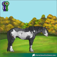 Horse Color:Black Frame