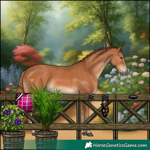 Horse Color:Chestnut Rabicano and Chestnut Rabicano