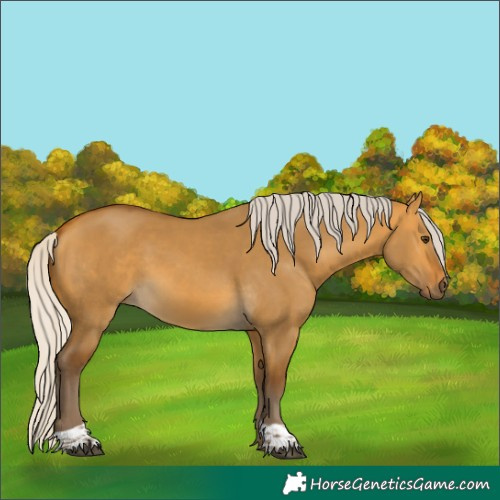 Horse Color:Silver Buckskin Dun Tobiano 