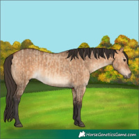 Horse Color:Bay Dun  and Bay Dun 