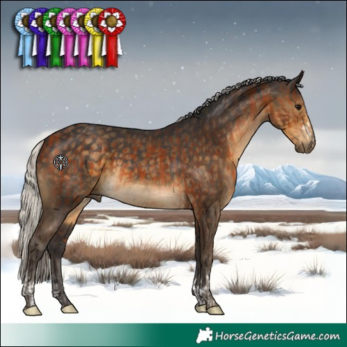 Horse Color:Bay  and Silver Smoky Black 