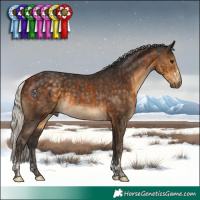 Horse Color:Bay  and Silver Smoky Black 