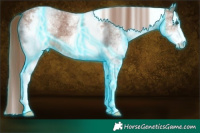 Horse Color:Thunderstruck White Spotted Chestnut Sabino