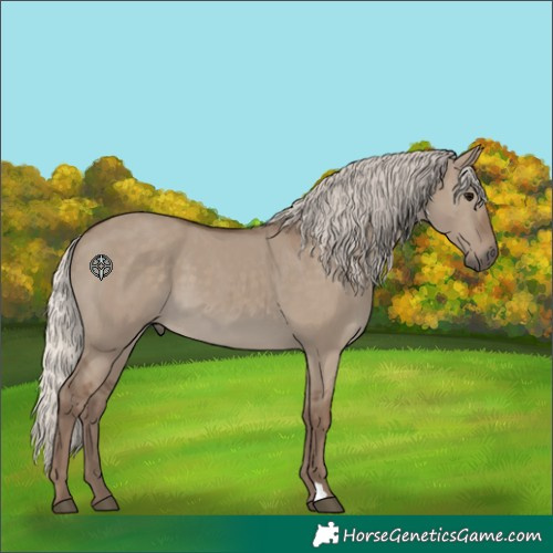 Horse Color:Silver Grullo 