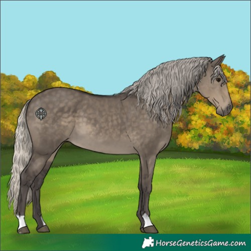 Horse Color:Silver Smoky Grullo 