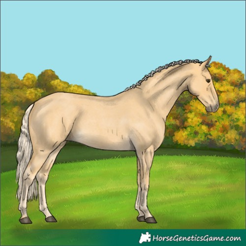 Horse Color:Palomino Roan