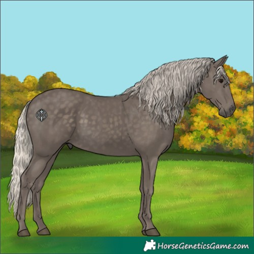 Horse Color:Silver Smoky Black 