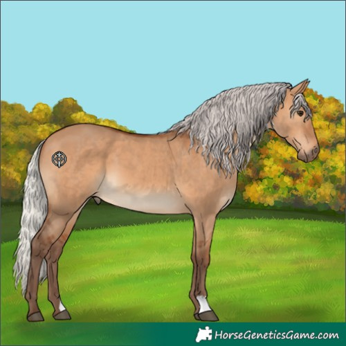Horse Color:Silver Bay Dun 