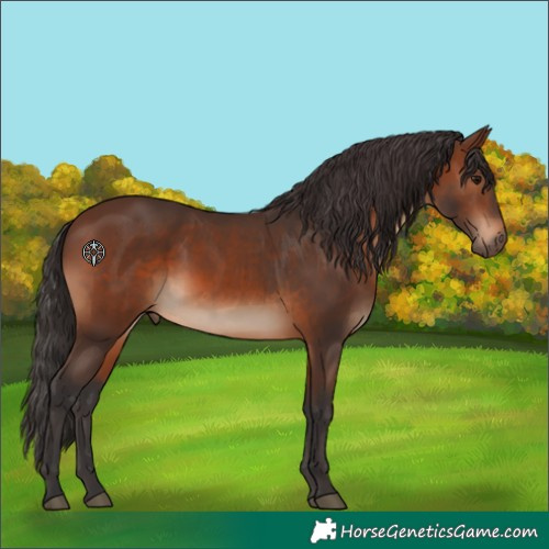 Horse Color:Brown 
