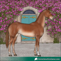 Horse Color:Chestnut and Chestnut