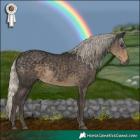 Horse Color:Silver Smoky Black 