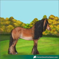 Horse Color:Chestnut and Bay