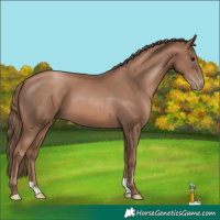 Horse Color:Black Pearl