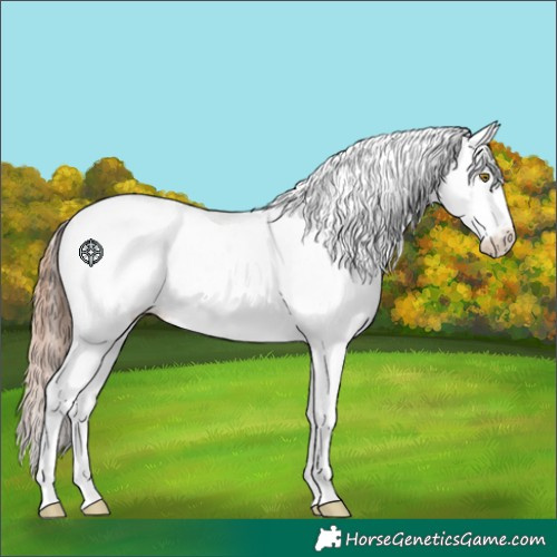 Horse Color:Gold Champagne Fewspot
