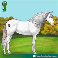Horse Color:Gold Champagne Fewspot 