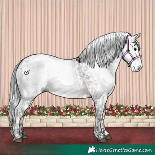 Horse Color:Gray Bay and Gray Bay Tobiano