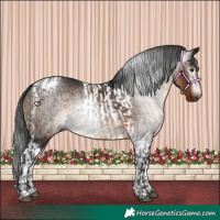 Horse Color:Gray Bay  and Gray Bay Tobiano 