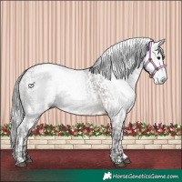 Horse Color:Gray Bay  and Gray Bay Tobiano 