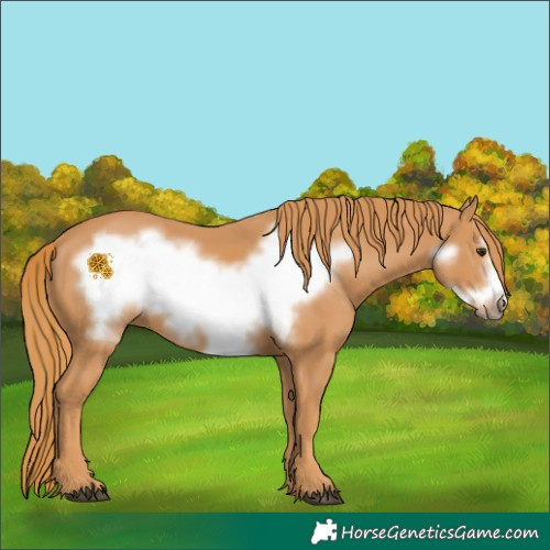 Horse Color:Chestnut Frame 