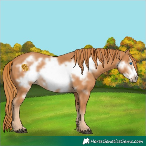 Horse Color:Chestnut Frame 