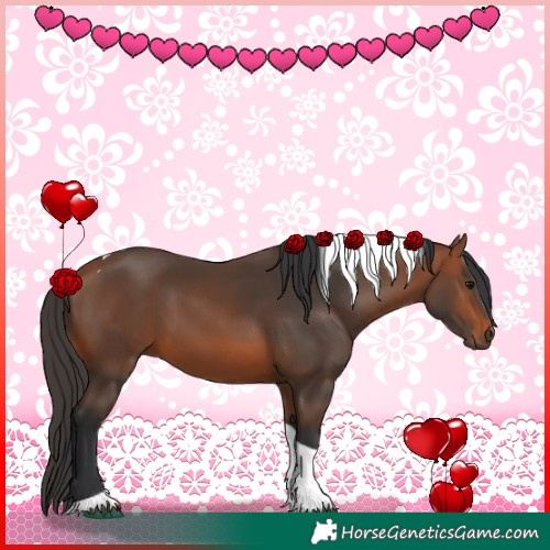 Horse Color:Bay Tobiano 