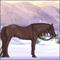 Horse Color:Chocolate Black 