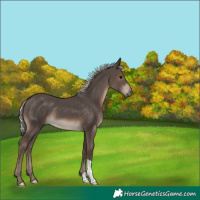 Horse Color:Silver Black 