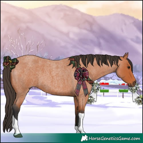 Horse Color:Bay Roan Tobiano