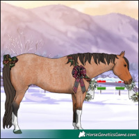 Horse Color:Bay Roan Tobiano