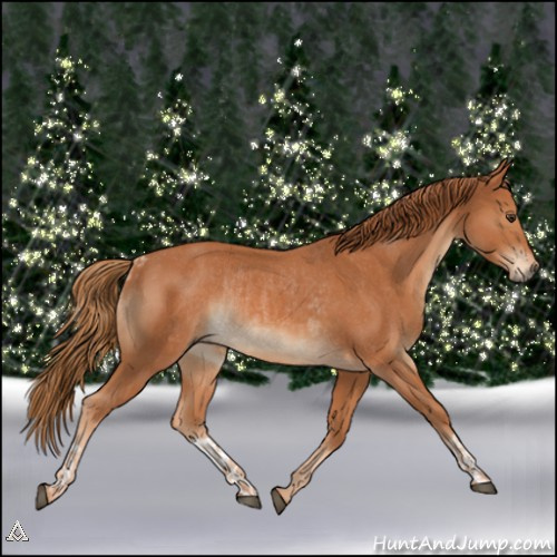 Horse Color:Chestnut  and Chestnut Rabicano 