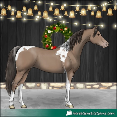 Horse Color:Classic Champagne Tobiano 
