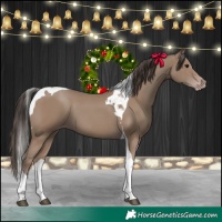 Horse Color:Classic Champagne Tobiano 