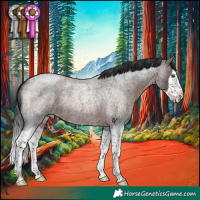 Horse Color:Brown Roan Splash Rabicano 